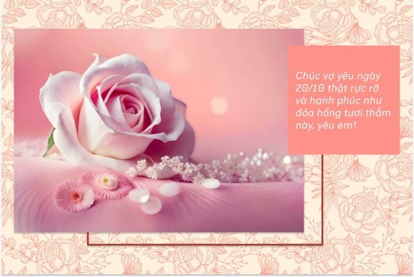 Chúc vợ yêu ngày 20/10 thật rực rỡ và hạnh phúc như đóa hồng tươi thắm này, yêu em!