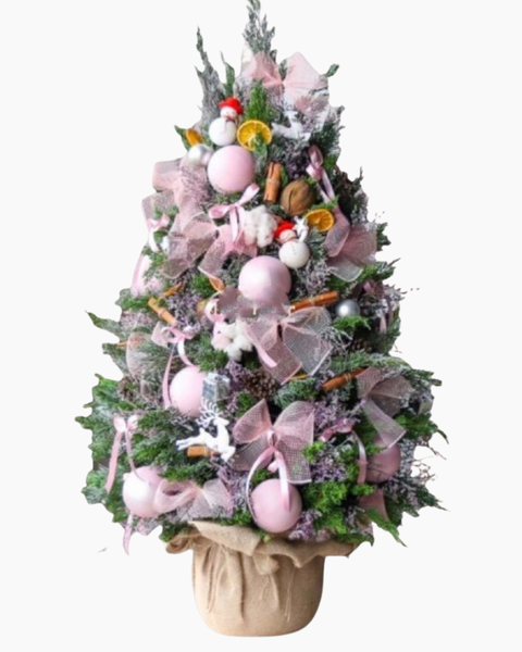 Hoa Giáng Sinh: Cây Thông Noel Holly Jolly Cedar - HGS10 - Giáng Sinh Hạnh Phúc