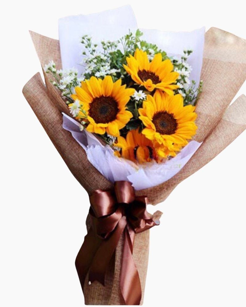Hoa Bó Dài: Niềm Tin - HBD47