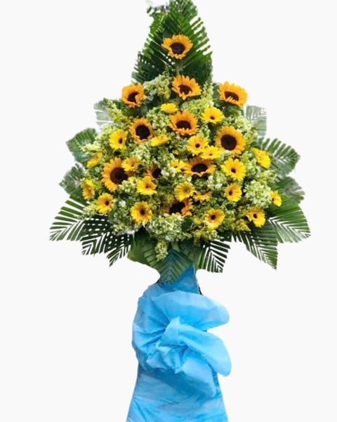 Hoa Chúc Mừng: Lẵng Hoa Nỗ Lực Tiếp Bước - HCM25