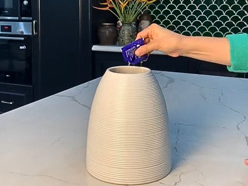 Hoa thanh liễu: Ý nghĩa, cách trồng và cắm hoa thanh liễu đẹp