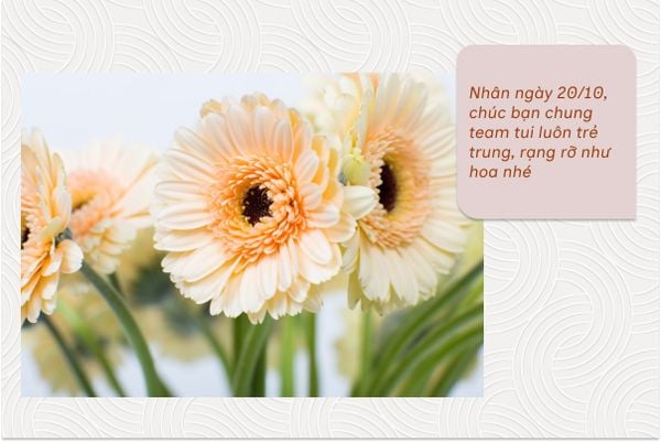 Nhân ngày 20/10, chúc bạn chung team tui luôn trẻ trung, rạng rỡ như hoa nhé