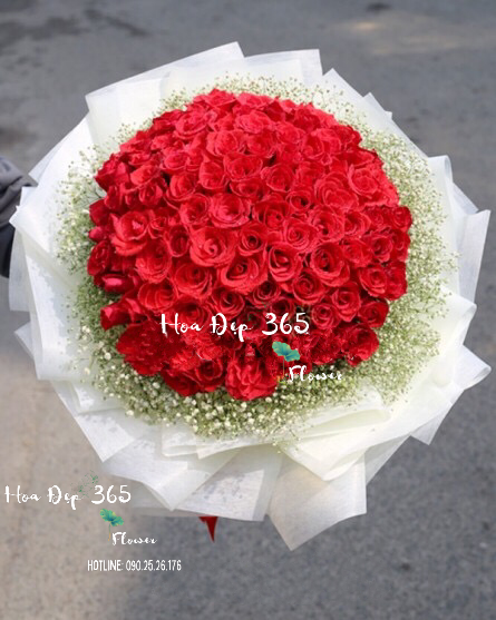Bó Hoa Hồng Đỏ 99 Bông siêu to