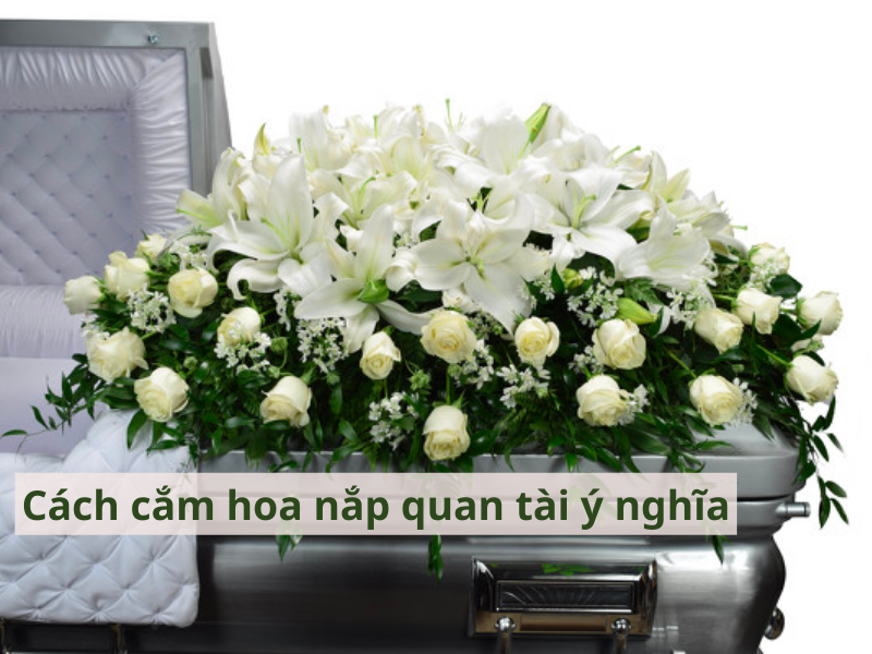 Cách Cắm Hoa Nắp Quan Tài Ý Nghĩa, Phù Hợp Với Tang Lễ 2026