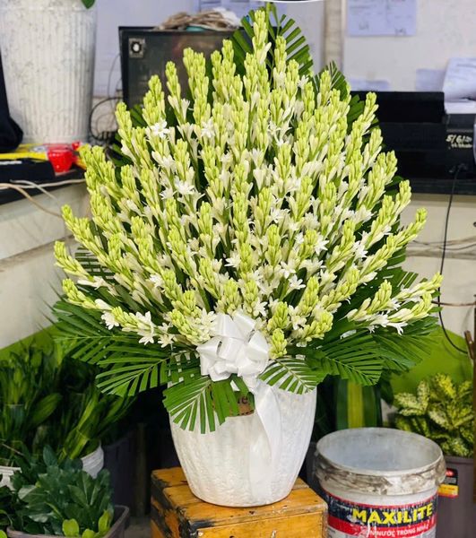  Bình Hoa Huệ Trắng - HCB70 