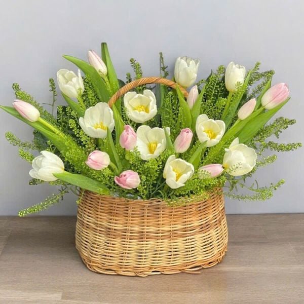  Giỏ Hoa Tươi Tulip Mix Màu - HG63 