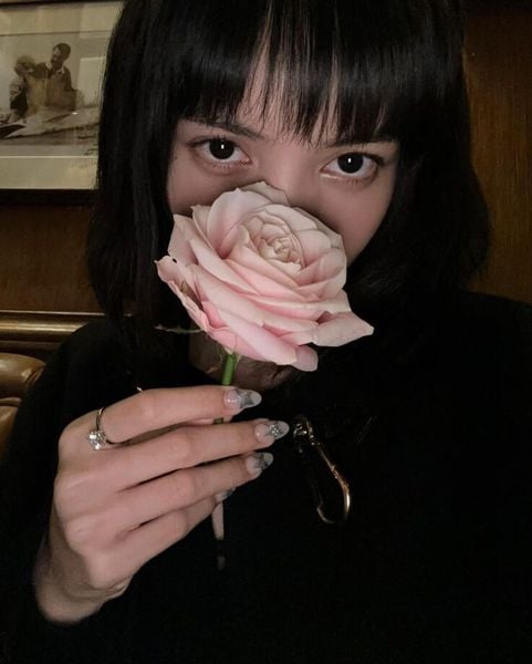 lisa và hoa hồng phấn