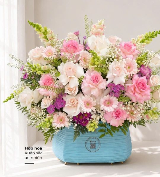 Hộp Hoa Tươi: Hoa Hộp Xuân Sắc An Nhiên - HH203