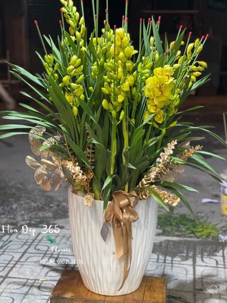 bình hoa địa lan đẹp và ý nghĩa