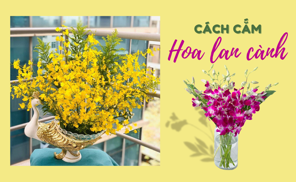 10+ Cách cắm hoa lan cành đẹp để bàn nghệ thuật phù hợp mọi không gian
