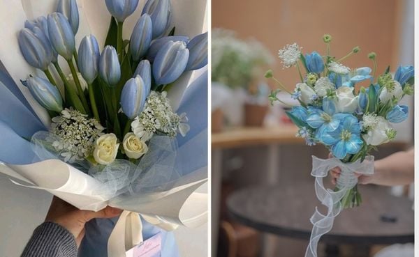 Hoa tulip xanh dương có vẻ đẹp độc lạ