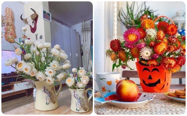 Mẹo và cách bảo quản hoa bất tử khô và tươi luôn giữ được màu sắc bền lâu