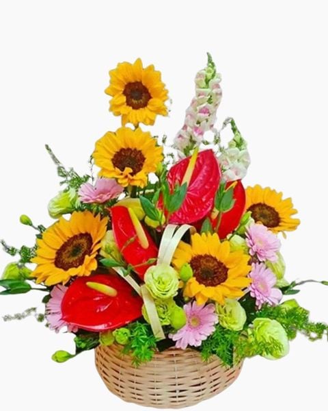 Hoa Đồng Tiền: Giỏ Hoa Khai Trương Bình An - HG53