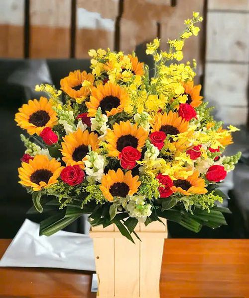 Hoa Lan: Hộp Hoa Khai Trương Để Bàn Sum Họp - HCH23