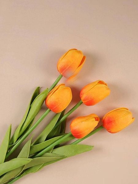 Hoa tulip màu cam là sự biểu trưng cho một tinh thần hùng hậu và sự kiên trung trong tình yêu.