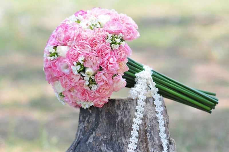 Hoa cưới cẩm chướng tone hồng trắng là một sự kết hợp tuyệt vời giữa hai màu sắc tượng trưng cho tình yêu và tinh khôi.