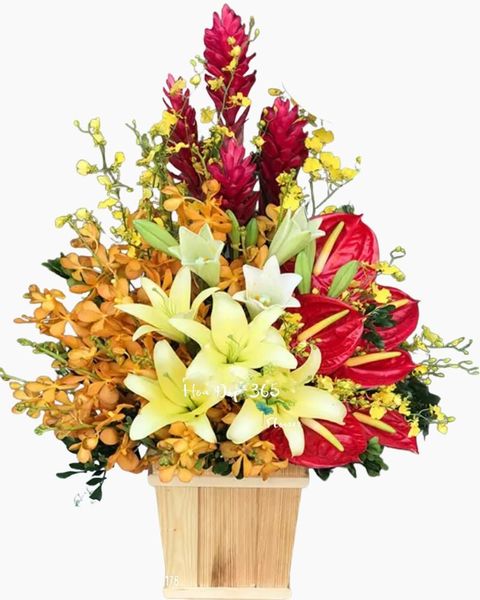 Hoa Màu Cam: Sự Sống - HCH39