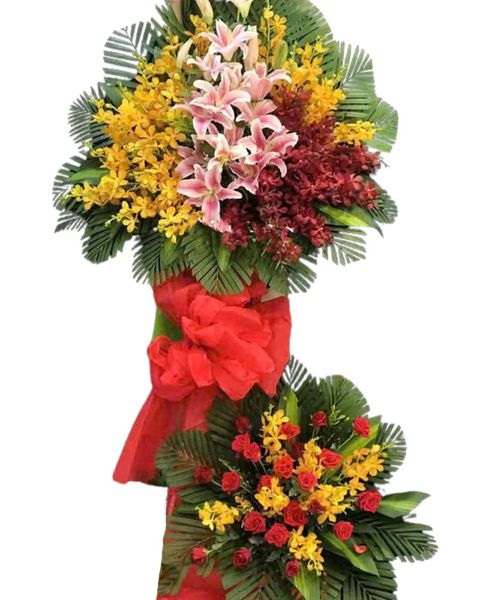 Hoa Khai Giảng: Kệ Hoa Màu Của Nắng - HCM48