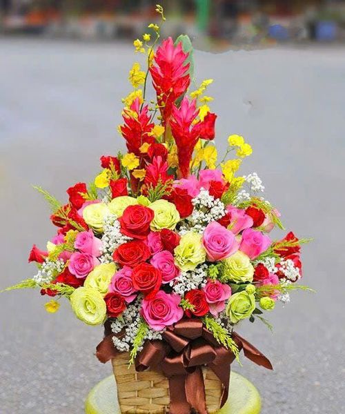 Hoa Lan: Hộp Hoa Để Bàn Khai Trương Sức Sống - HCH84