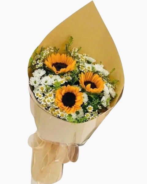 Hoa Bó Dài: Bó Hoa Hướng Dương - HBD269