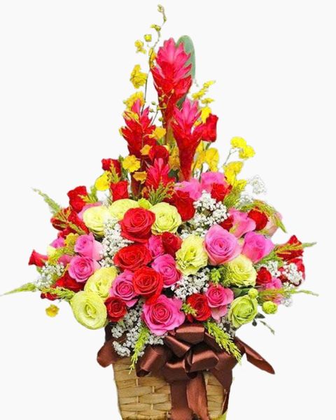 Hoa Lan: Hộp Hoa Để Bàn Khai Trương Sức Sống - HCH84
