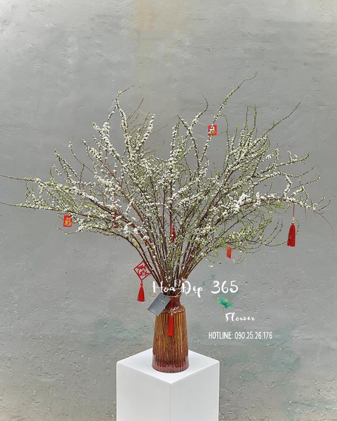 Mẫu bình hoa tuyết mai chưng Tết của Flosa