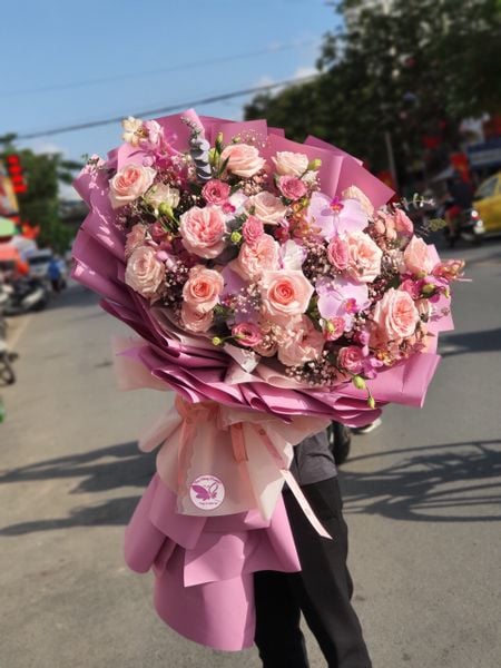 Hoa hồng pastel