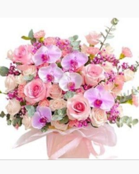  Sắc Hồng Yêu Thương - HCH89 