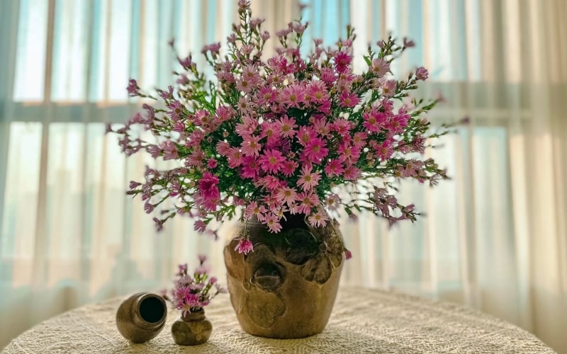 Cách cắm hoa thạch thảo đẹp
