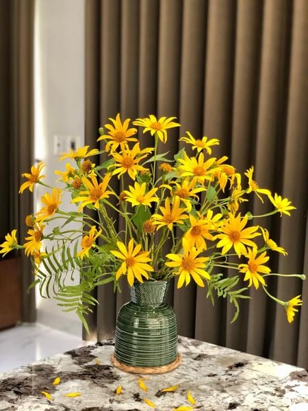cắm hoa dã quỳ đẹp