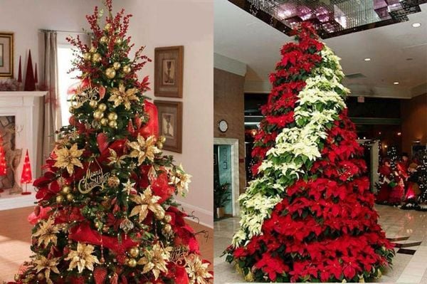 Gợi ý cách trang trí noel với hoa trạng nguyên sảnh công ty