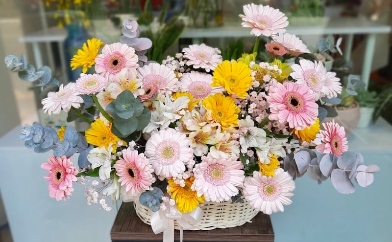 Cách cắm giỏ hoa đồng tiền đẹp