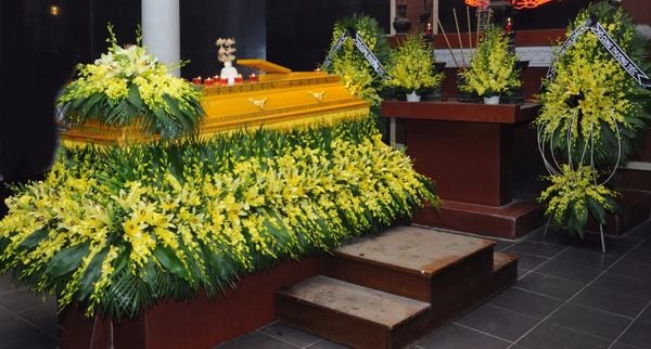hoa nắp quan tài