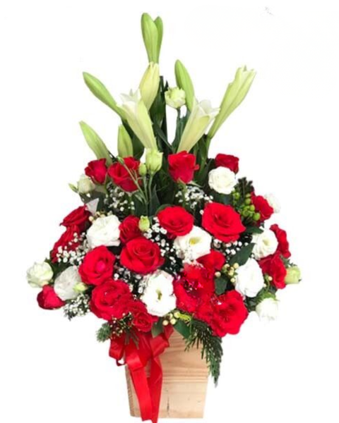  Hương Tóc Mạ Non - HCH62 