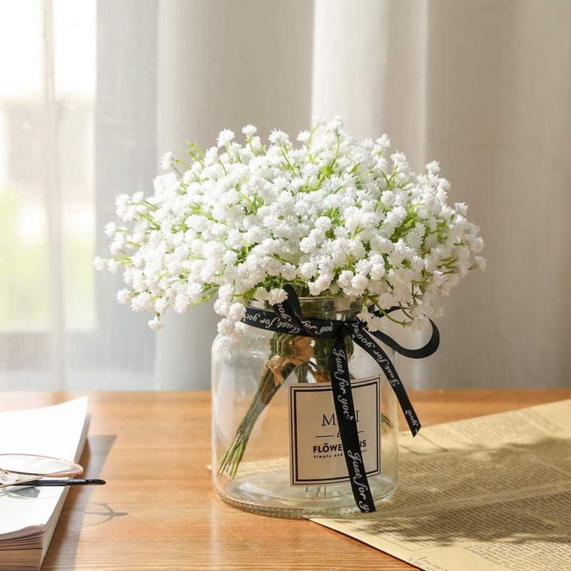 Hoa baby (bi) — Gypsophila paniculata