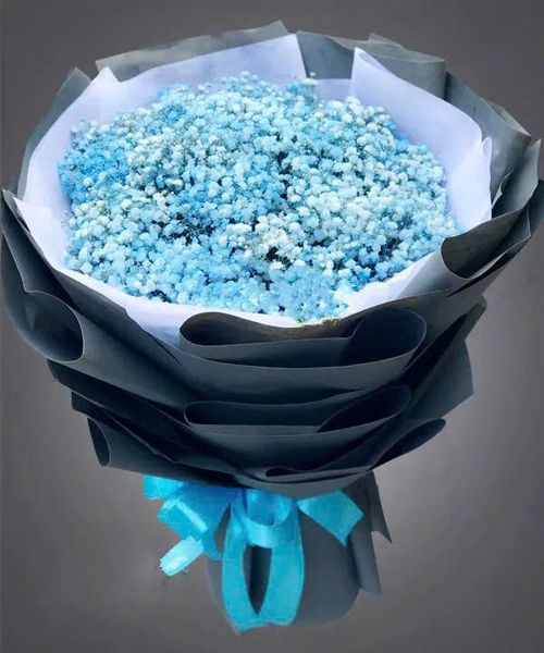 Hoa Bó Tròn: Bó Hoa Blue Baby - HBT69