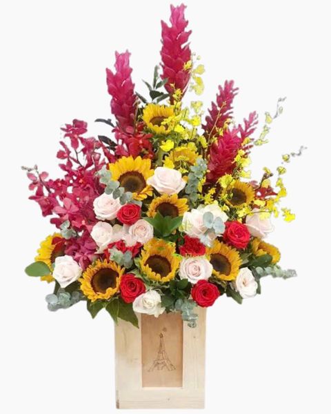 Hoa Lan: Hộp Hoa Khai Trương Để Bàn Sự Sống - HCH54