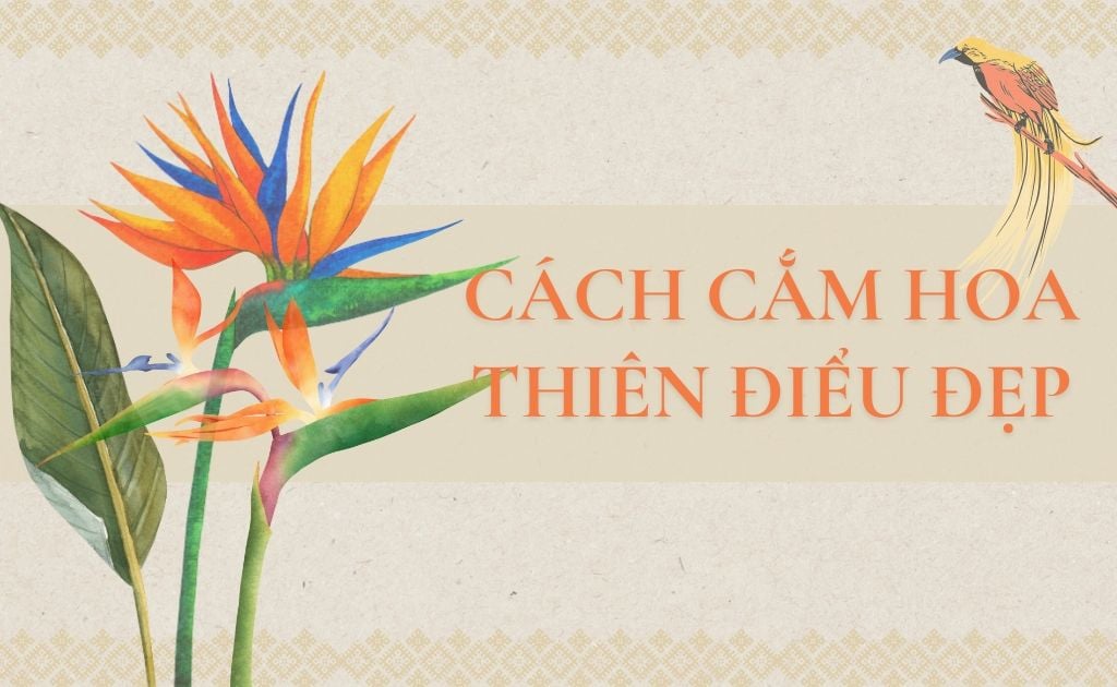 Cách cắm hoa Thiên Điểu đẹp, nhanh nở, tươi lâu, độc lạ nhất