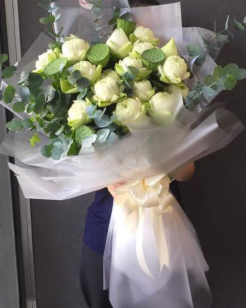  Bó Sen Trắng Tinh Khiết - HBD88 