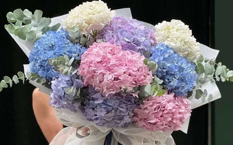 Bó hoa cẩm tú cầu nhiều màu sắc, tượng trưng cho sự chân thành và lòng biết ơn