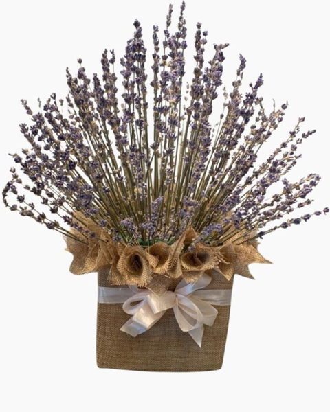 Hoa Lavender: Thảo Dược Tình Yêu - LVD06