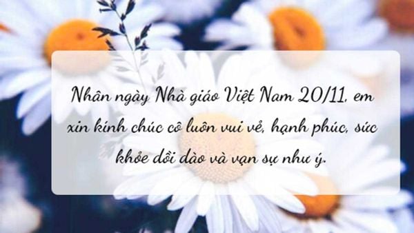 Thiệp chúc mừng 20/11 xinh xắn kèm lời chúc ý nghĩa (Nguồn: Internet)