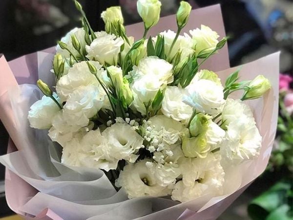 cắm hoa cát tường 20/11