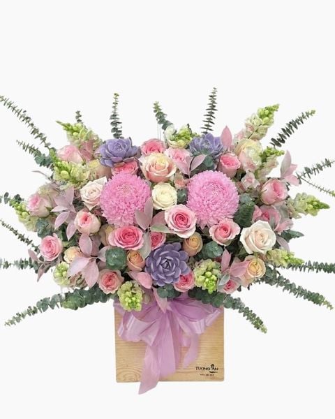 Hộp Hoa Tươi: Hoa Hộp Sắc Hoa Thanh Bình - HH207