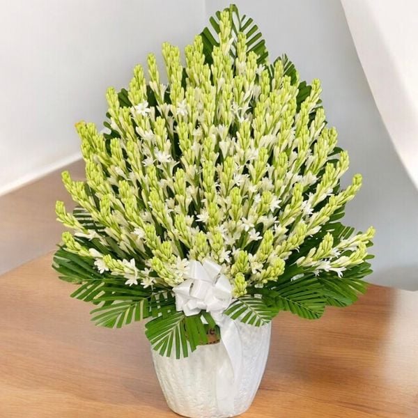 Hoa Cắm Bình: Bình Hoa Huệ Trắng - HCB70