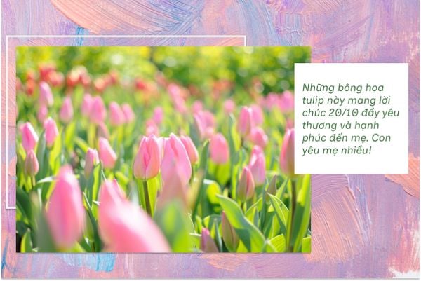 Những bông hoa tulip này mang lời chúc 20/10 đầy yêu thương và hạnh phúc đến mẹ. Con yêu mẹ nhiều!