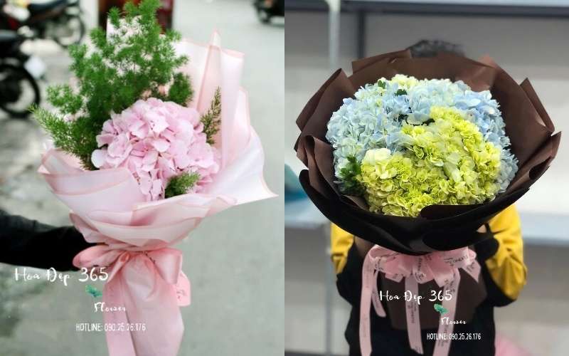 Mẫu Bó Cẩm Tú Cầu Nhập - HBT09 và Bó Hoa Cẩm Tú Cầu - HBT51 tặng mẹ tại Flosa
