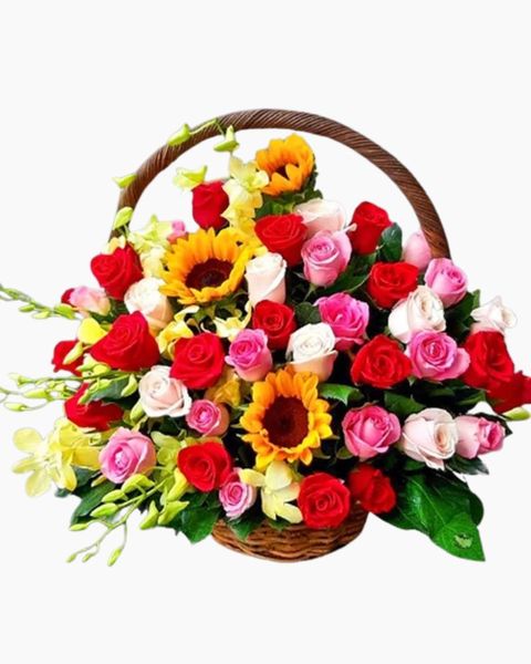 Hoa Lan: Giỏ Hoa Khai Trương Trọn Vẹn - HG54