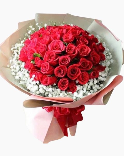 Hoa Bó Tròn: Bó Hoa Hồng Đỏ 50 Bông - HBT86
