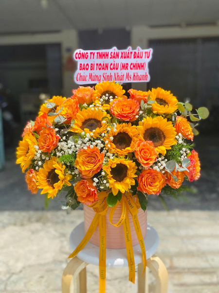 Hộp Hoa Tươi: Hộp Hoa Khát Vọng - HH03
